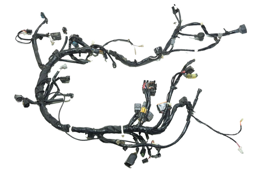 2022-2024 Kawasaki Versys-x 300 Kle300 OEM Main Wire Harness 26031-2642