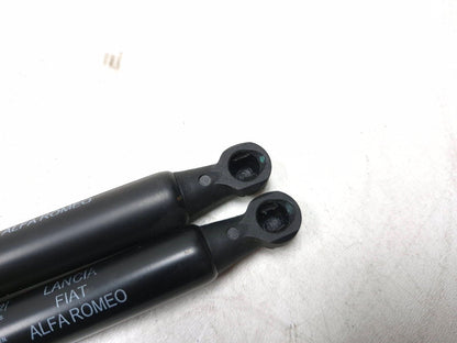 2014 Fiat 500l Hood Shock Strut Support Pair OEM