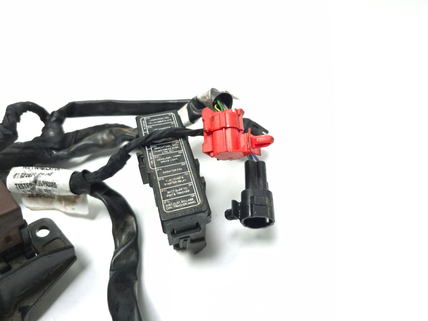 2024 Triumph Speed 400 Main Wire Harness OEM