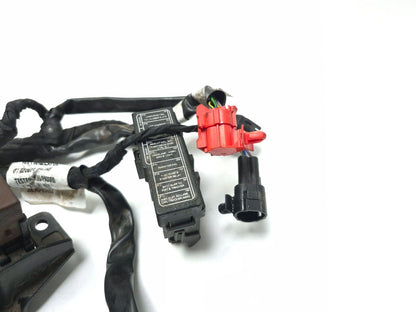 2024 Triumph Speed 400 Main Wire Harness OEM