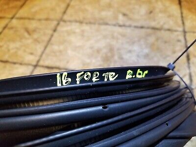 14 15 16 Kia Forte Rear Left Driver Door Weatherstrip Seal OEM 27k