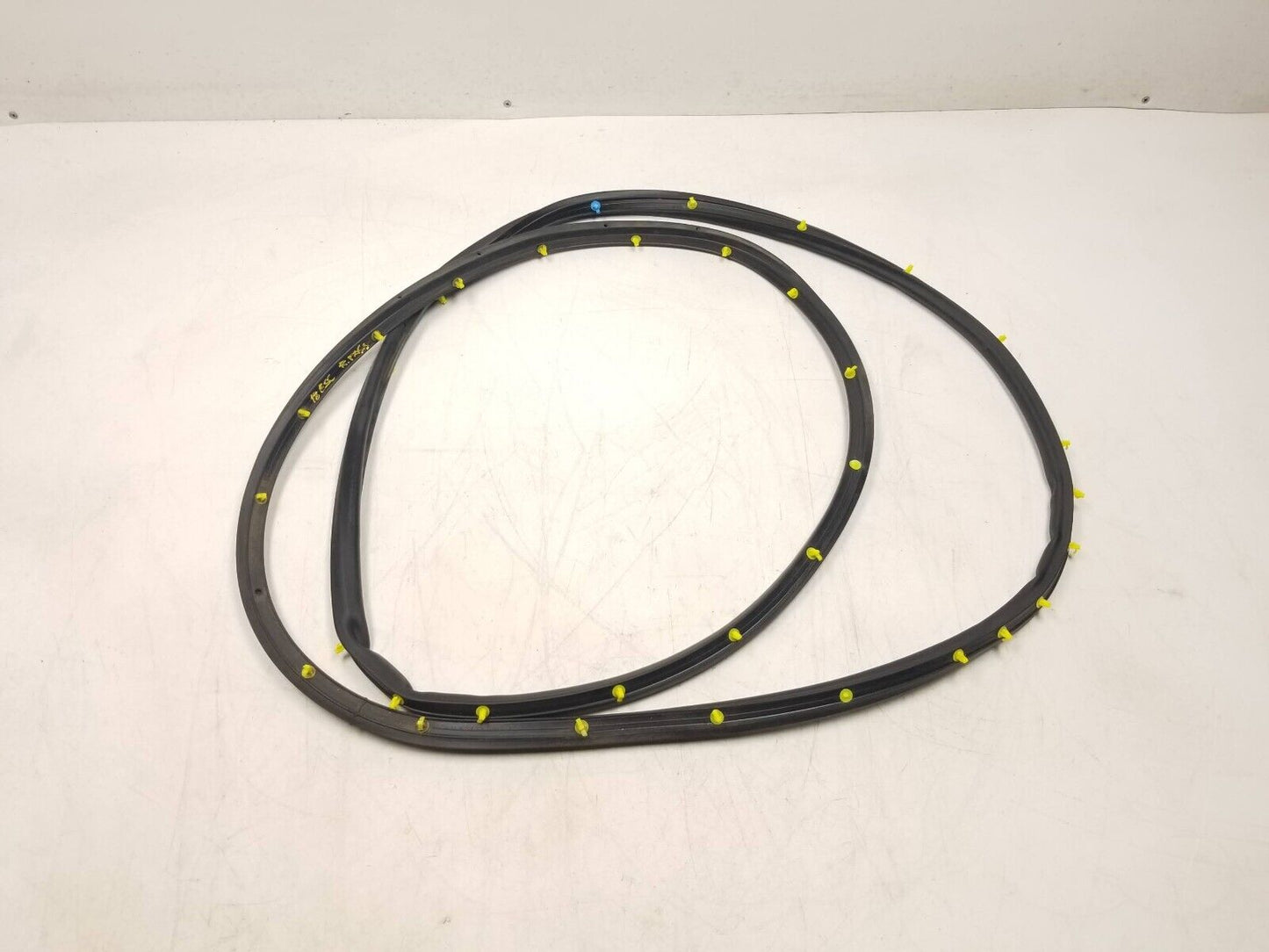 17 18 19 Ford Escape Door Weatherstrip Seal Rear Right Passenger Side OEM