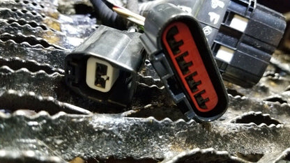 15 16 17 18 Ford Focus Rear Left Driver Side Door Wire Harness OEM 14k Miles