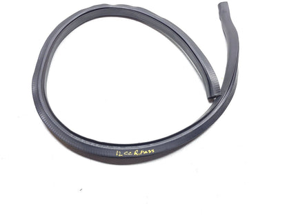 09 10 11 12 Volkswagen Cc Door Weatherstrip Seal Rear Right Passenger Side OEM