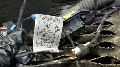 09 10 11 12 BMW 328xi E90 Rear Left Door Wire Wiring Harness Driver Side OEM