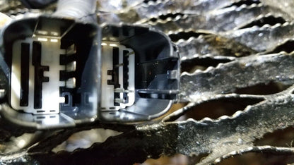 15 16 17 18 Ford Focus Rear Left Driver Side Door Wire Harness OEM 14k Miles