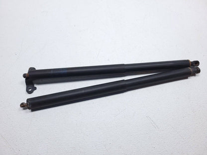 06 07 08 09 10 11 Mercedes Ml500 Rear Trunk Lid Shock Strut Support Pair OEM