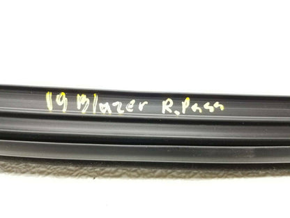 19 20 Chevrolet Blazer Rear Right Pass Window Weatherstrip Seal OEM 11k Miles