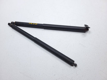 06 07 08 09 10 11 Mercedes Ml500 Rear Trunk Lid Shock Strut Support Pair OEM
