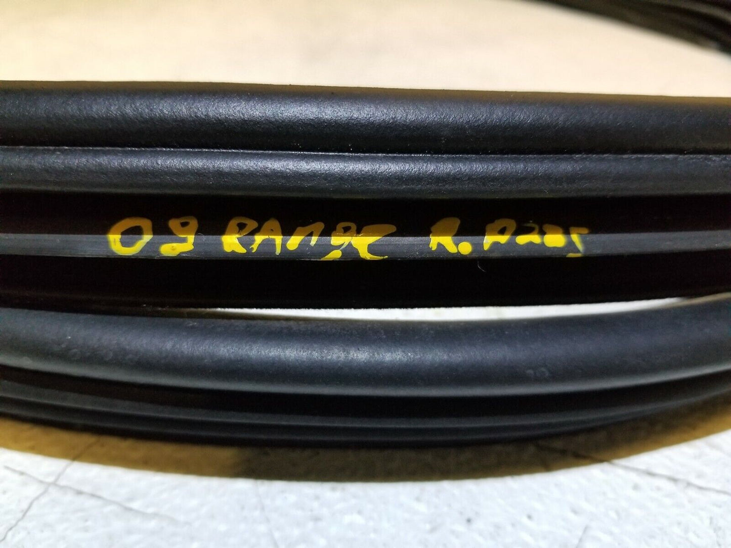 06 07 08 09 Range Rover Sport Rear Right Pass Side Door Weatherstrip Seal OEM