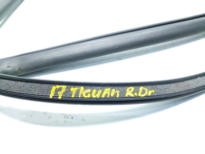 09 11 12 13 14 15 16 17 VW Tiguan Rear Left Driver Door Weatherstrip Seal OEM