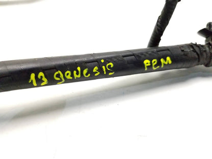 2013 - 2016 Hyundai Genesis Front Hood Lift Support Shock Strut OEM