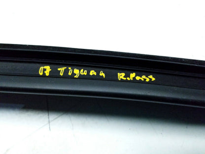 09 11 12 13 14 15 16 17 VW Tiguan Rear Right Pass Window Weatherstrip Seal OEM