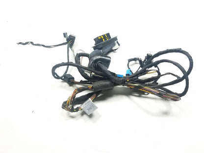 09 10 11 12 BMW 750li Rear Right Pass Door Wire Harness OEM
