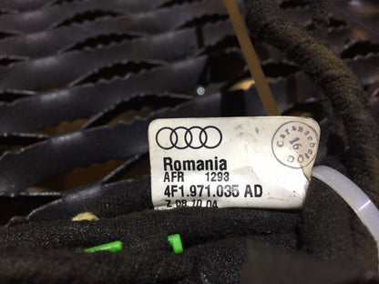 05 06 07 08 Audi A6 C6 Front Left Driver Door Panel Wire Harness 4f1971035 OEM