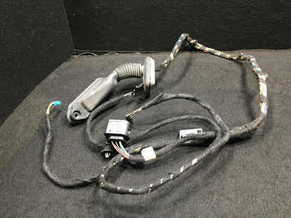 04 05 06 BMW X3 E83 Rear Right Pass Side Door Wire Wiring Harness OEM D34