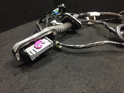 11 12 13 14 15 Buick Lacrosse Rear Right Pass Door Wire Harness OEM D29
