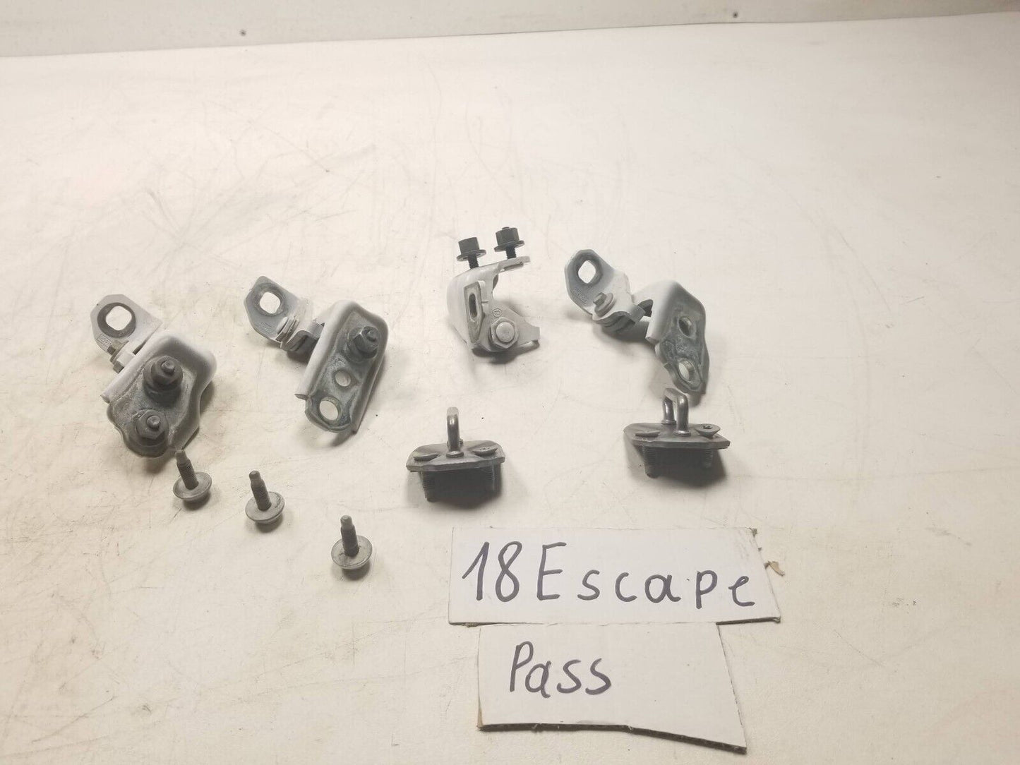 17 18 19 Ford Escape Door Hinge Front Rear Right Pass Side OEM **color Pnyw30**