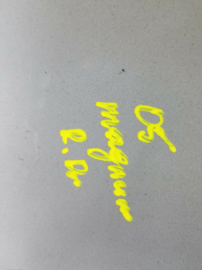 05 06 07 Dodge Magnum Rear Left Driver Side Pillar Trim Cover OEM