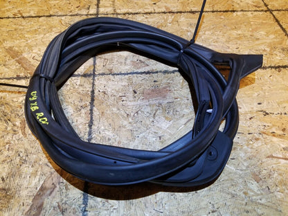 08 09 10 Scion Xb Rear Left Driver Door Weatherstrip Seal OEM