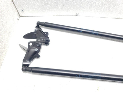11 12 13 14 Nissan Juke Tailgate Hatch Shock Lift Support Left & Right 2pcs OEM