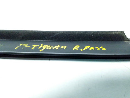 12 13 14 15 16 17 VW Tiguan Rear Right Pass Door Window Belt Seal Molding OEM