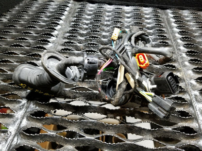 05 06 07 08 Audi A6 C6 Sedan Rear Left Driver Door Wire Harness OEM