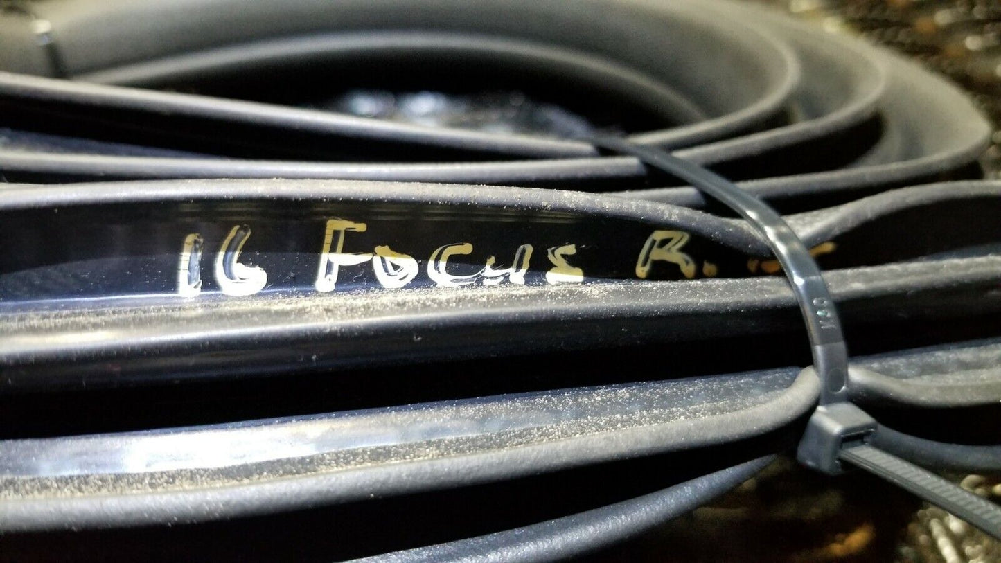 15 16 17 18 Ford Focus Rear Left Driver Side Door Weatherstrip Seal OEM 14k Mile