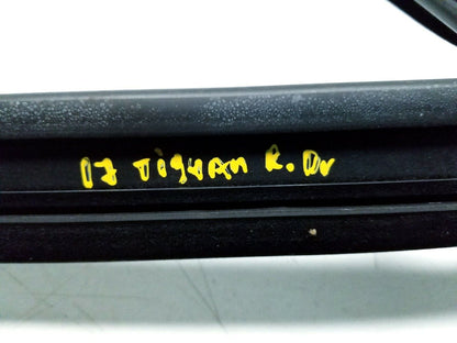 09 11 12 13 14 15 16 17 VW Tiguan Rear Left Driver Window Weatherstrip Seal OEM