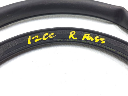 09 10 11 12 Volkswagen Cc Door Weatherstrip Seal Rear Right Passenger Side OEM