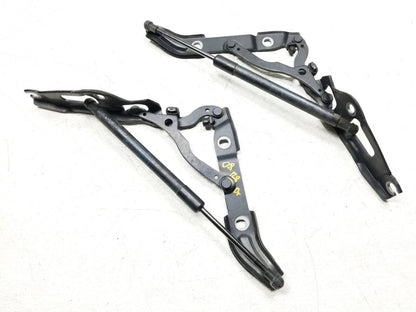 08 09 10 11 12 13 BMW 128i Trunk Lid Hinge Left & Right 2pcs OEM