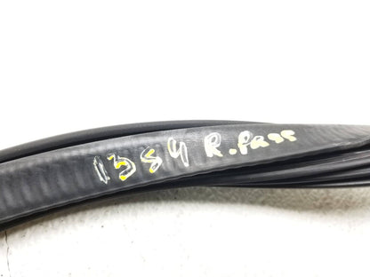 13 14 15 16 Audi A4 S4 Door Weatherstrip Seal Rear Right Passenger Side OEM