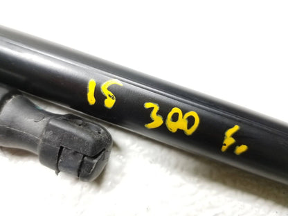 15 16 17 18 19 Chrysler 300 Hood Shock Strut Support 2pcs OEM 42k
