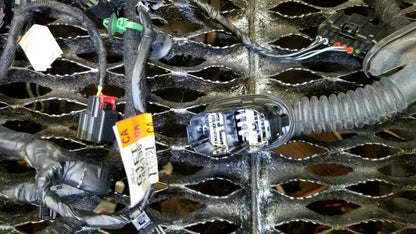 15 16 17 18 Ford Focus Front Rigth Passenger Door Wire Harness OEM 14k Miles