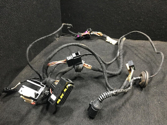 02 03 04 05 Volkswagen Passat Front Right Pass Door Wire Harness OEM D23
