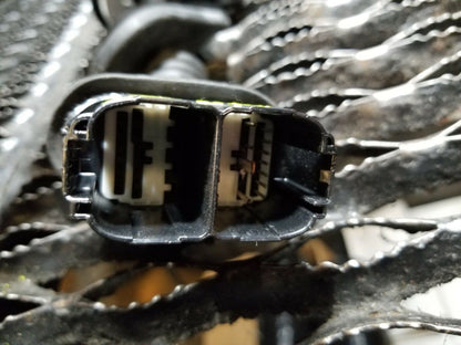 18 19 20 Ford Ecosport Rear Right Pass Side Door Wire Harness OEM 532 Miles!