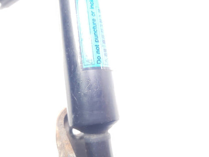 1999 - 2004 Nissan Pathfinder Rear Tailgate Shock Strut Support Pair OEM