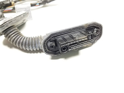 09 10 11 12 BMW 750li Rear Left Driver Side Door Wire Harness OEM
