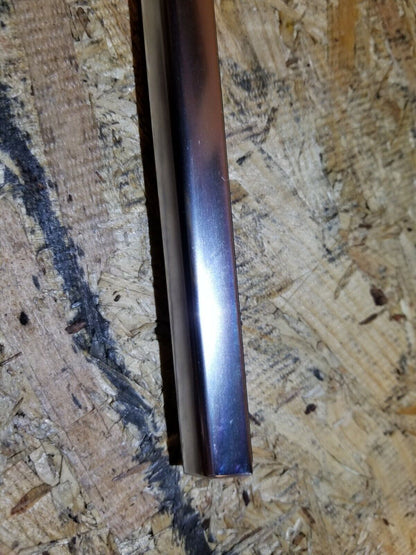 06 07 08 09 10 BMW 528i E60 Rear Left Driver Door Window Belt Seal Molding OEM