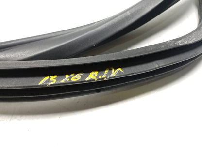 07 08 09 10 11 12 13 BMW X6 Rear Left Driver Side Door Weatherstrip Seal OEM