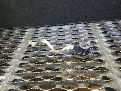03 04 05 Nissan 350z Convertible Xenon Bulb W/ Igniter OEM