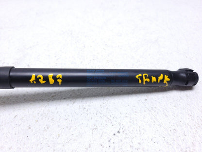 12-19 Volkswagen Passat Sedan Rear Trunk Lid Shock Strut Support OEM