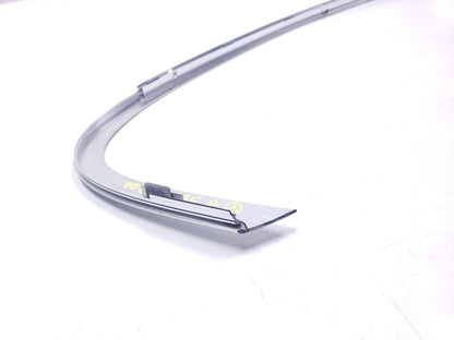 09 10 11 12 13 BMW 535xi Rear Door Chrome Trim Molding Left Driver Side OEM