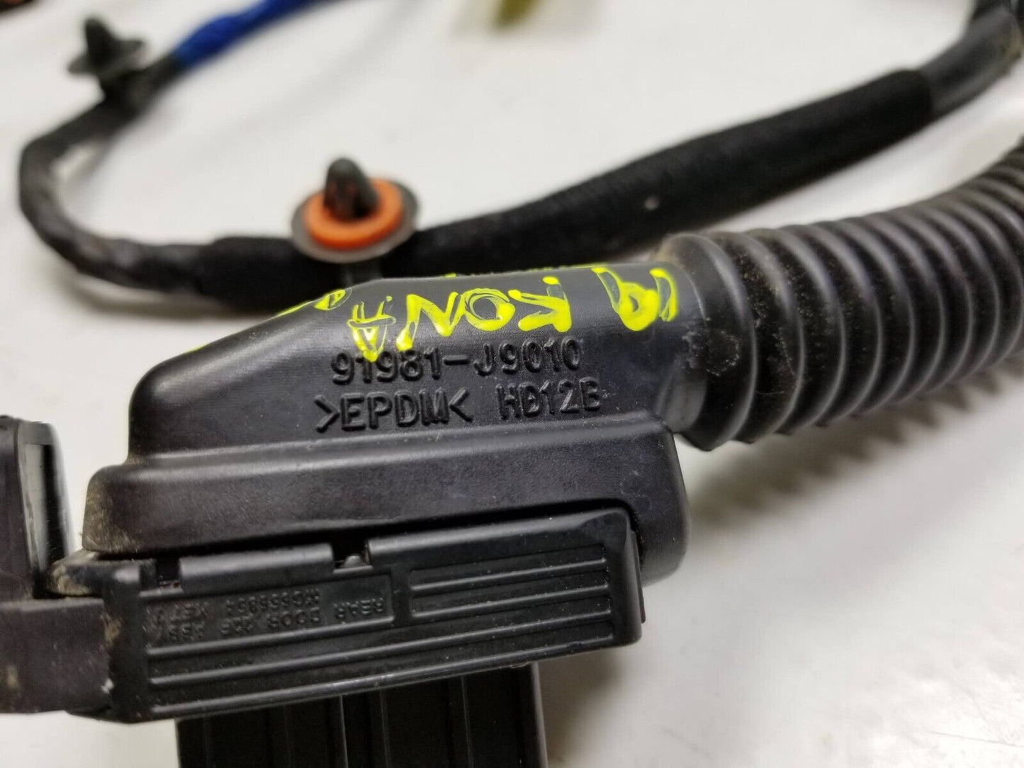 18-21 Hyundai Kona Rear Door Wire Harness Right Passenger Side OEM 29k Miles