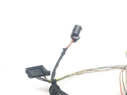 09 10 11 12 BMW 750li Rear Right Pass Door Wire Harness OEM