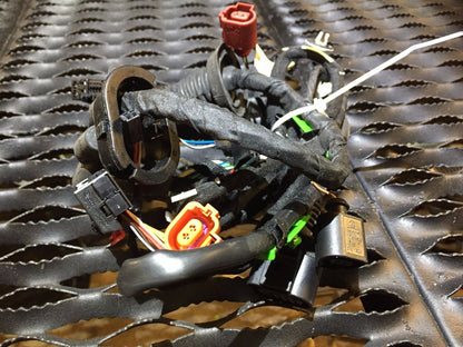 05 06 07 08 Audi A6 C6 Rear Door Wire Harness Driver Or Passenger Side Oem