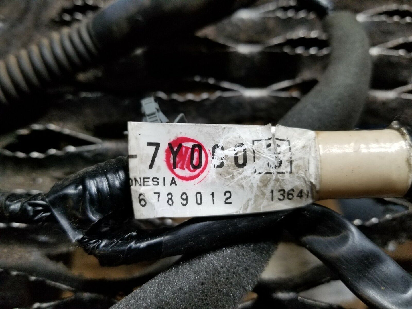 04 05 06 07 08 Nissan Maxima Trunk Wire Wiring Harness 240157y000 OEM