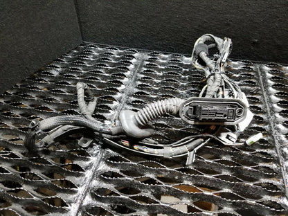 06 07 08 09 10 BMW 650i E63 Front Door Wire Wiring Harness Passenger Right OEM