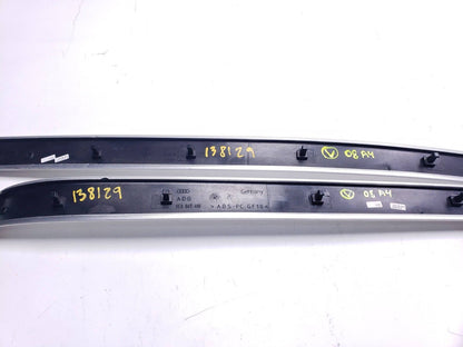 06 07 08 Audi A4 Front & Rear Door Panel Trim Strip 2pcs OEM
