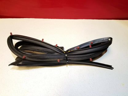 12 13 14 15 16 17 Chrysler 300 Rear Right Passenger Door Weatherstrip Seal OEM